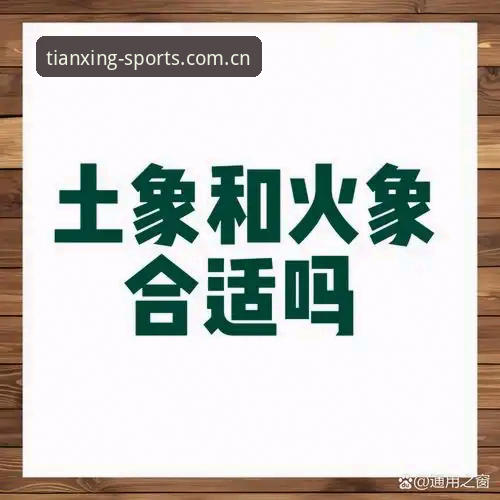 天行体育注册与免费下载全面对比：官网版本选择与设备兼容性深度解析